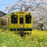 新田野駅の場所、読み方や英語表記は？